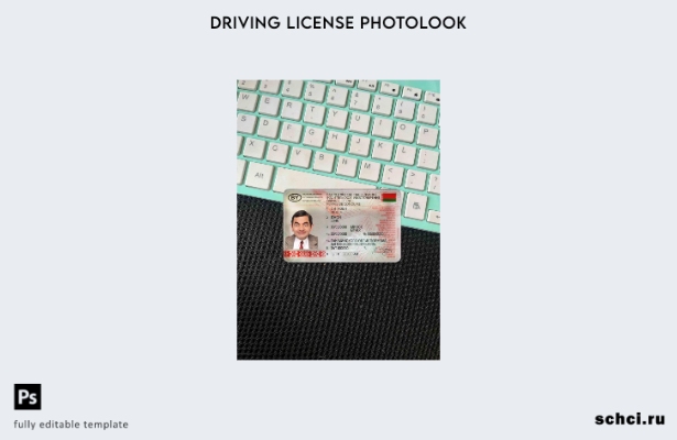 цифровая загрузка шаблона Belarus DL photolook FRONT